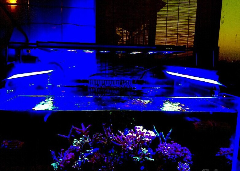 Spectra aquarium R60